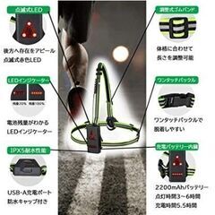 【新品】ランニングライト ジョギング ウォーキング トレイルラン 非常用の画像