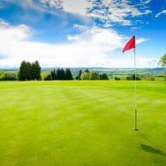 ⛳️東京★ゴルフ⛳️仲間を募集中～！ − 東京都