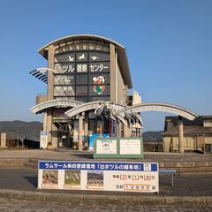 1月3日(金)：万羽ヅルを見に行きませんか？
