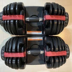 未使用品❗テスラ＆RFT製オペアンプ付❗欧州サウンドで楽しむ真空管