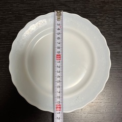 (お話中)皿　セットの画像