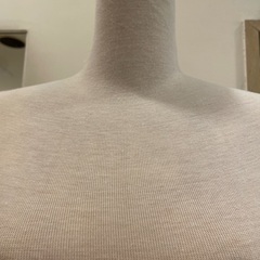 トルソーの画像