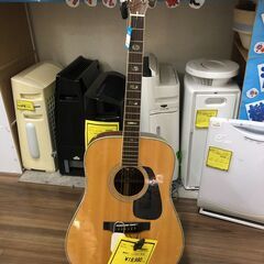 Morris アコースティックギター MD-525 アコギ モー...