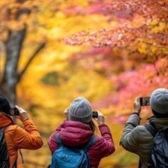 東京☆写真📸好き仲間を募集中～✨ − 東京都