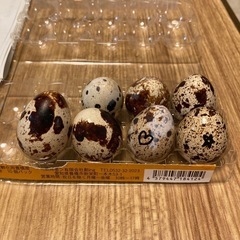 うずら有精卵