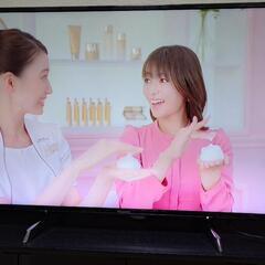 Panasonic　BRAVIA　49型　追記分あります。