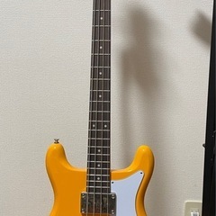 ショートスケール人気カラーのベース　Epiphone Newport Bass (California Coral)の画像