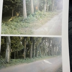 売り山林　1408坪　坪9千円 − 千葉県