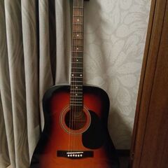アコースティックギター Lumber LFG10TS ランバー　...