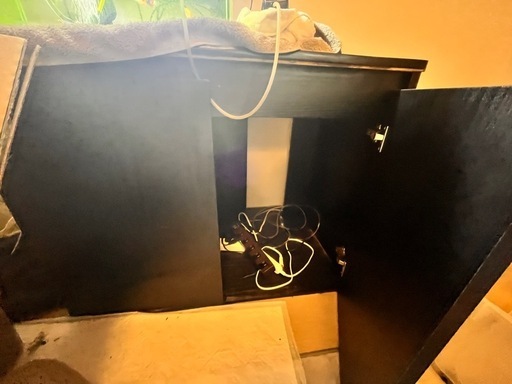 受け渡し確定】水槽色々セットでもバラでも！