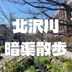 【梅が丘～大橋】暗渠化された北沢川を歩いてみよう！半分は緑道（暗...