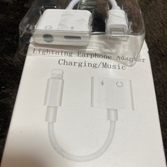 ★20Lightningイヤホンアダプターの画像