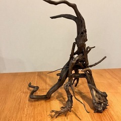 未使用新品　ブランチウッドブラック　流木　4本セット煮沸消毒済み...