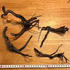 未使用新品　ブランチウッドブラック　流木　4本セット煮沸消毒済み　沈水確認済みの画像