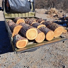 薪　 針葉樹　カラマツ
　 