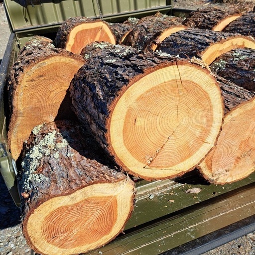 薪　 針葉樹　カラマツ
　
