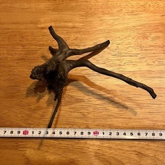 未使用新品　ブランチウッドブラック　流木　4本セット煮沸消毒済み　沈水確認済みの画像