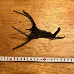 未使用新品　ブランチウッドブラック　流木　4本セット煮沸消毒済み　沈水確認済みの画像
