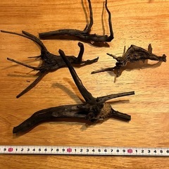 未使用新品　ブランチウッドブラック　流木　4本セット煮沸消毒済み　沈水確認済みの画像