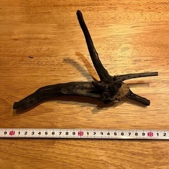 未使用新品　ブランチウッドブラック　流木　4本セット煮沸消毒済み　沈水確認済みの画像