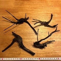 未使用新品　ブランチウッドブラック　流木　4本セット煮沸消毒済み　沈水確認済みの画像