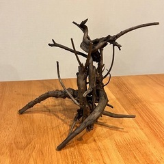 未使用新品　ブランチウッドブラック　流木　6本セット煮沸消毒済み...