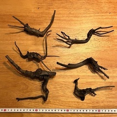 未使用新品　ブランチウッドブラック　流木　6本セット煮沸消毒済み　沈水確認済みの画像