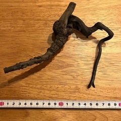 未使用新品　ブランチウッドブラック　流木　6本セット煮沸消毒済み　沈水確認済みの画像