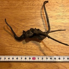 未使用新品　ブランチウッドブラック　流木　6本セット煮沸消毒済み　沈水確認済みの画像