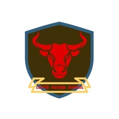 LUTTE SOCCER SCHOOL(小学生向けサッカースクール)