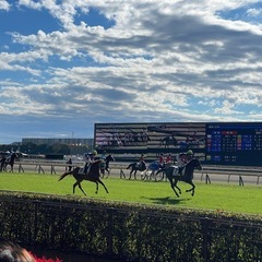 競馬場に行こう♪今週は中山競馬場😊競馬仲間になろう！ - メンバー募集