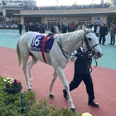 競馬場に行こう♪今週は中山競馬場😊競馬仲間になろう！ − 東京都