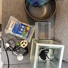 メダカ飼育セット（陶器睡蓮鉢など）