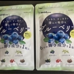 【新品未開封】ブルーベリー 6ヶ月分 サプリメント