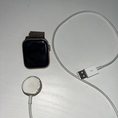 Apple Watch Series 5 44mm 【ステンレススチールケース/ミラネーゼループ】の画像