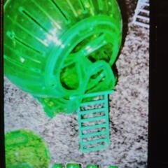 わんぱくミニマルグッズハイツストロベリーハムスターのお家ゴールデンよりロボロフスキータイプにお勧めです。❷ヒーター付きハウス❸ランニングボール❹小動物ハムスターゲージハウス　　4点まとめてお譲り致します。の画像