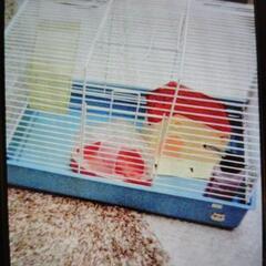 わんぱくミニマルグッズハイツストロベリーハムスターのお家ゴールデンよりロボロフスキータイプにお勧めです。❷ヒーター付きハウス❸ランニングボール❹小動物ハムスターゲージハウス　　4点まとめてお譲り致します。の画像