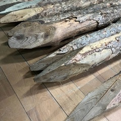 木製 杭 くい 丸太 自然木 木杭 11個セットの画像