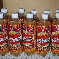 【決まりました】炭酸飲料 ドデカミン BIG 600ml×10本