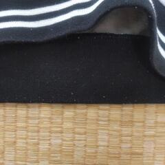 150size パーカーの画像