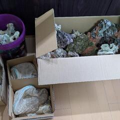 120センチ水槽一式の画像