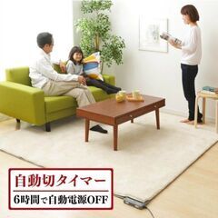 アイリスオーヤマヒートカーベット