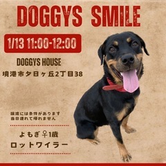 よもぎの譲渡会（保護犬）