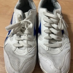 一宮市　南部中学校　体育館シューズ　25cmの画像