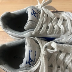 一宮市　南部中学校　体育館シューズ　25cmの画像