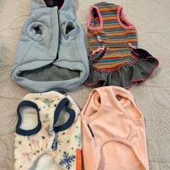 小型犬洋服⭐︎あったか冬物ありの画像