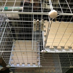 猫　ゲージ
