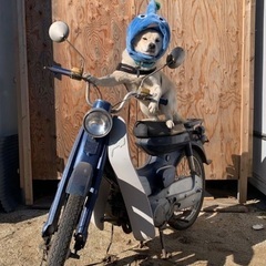 YAMAHA メイト50　初期型　1965 M5 不動　レストア...