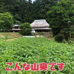 訳ありじゃがいも食べてくださる方募集　2キロ　あと2家族様限定の画像