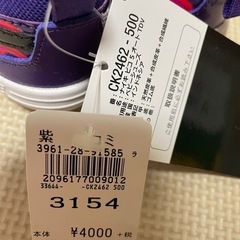 [新品★未使用]ナイキ ピコ5 オート TDV CK2462-500の画像